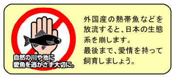 観賞魚を飼育される皆様へ