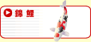 錦鯉