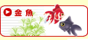 金魚