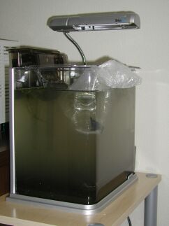 水槽セッティング１日目