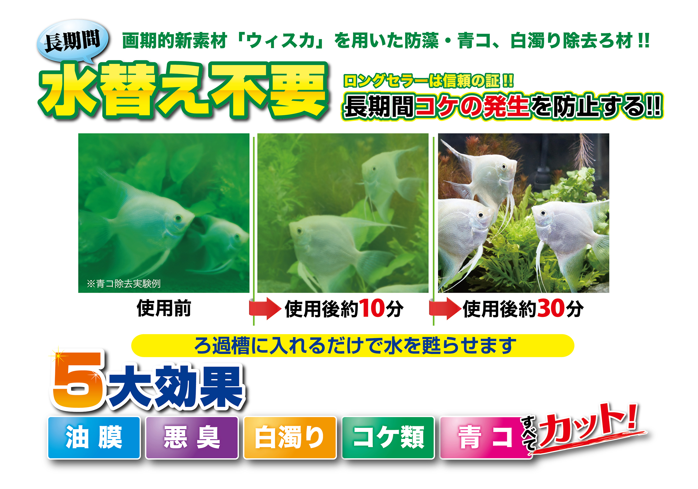 新高滝観魚園 / 【コトブキ】 P・CUTネット